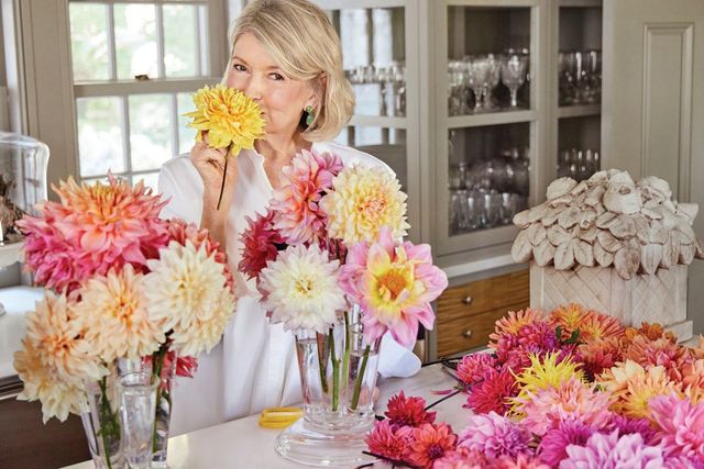 Martha by Design
